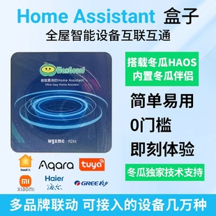 新机型HomeAssistant盒子RK3528智能家居网关homekit助理X88pro13