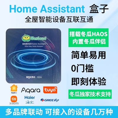 新机型HomeAssistant盒子RK3528智能家居网关homekit助理X88pro13