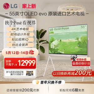 LG进口OLED4K屏艺术电视Pose