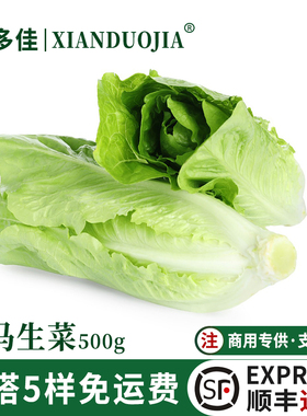 罗马生菜新鲜罗纹凯撒生菜沙拉蔬菜即食生吃沙拉蔬菜轻食西餐食材