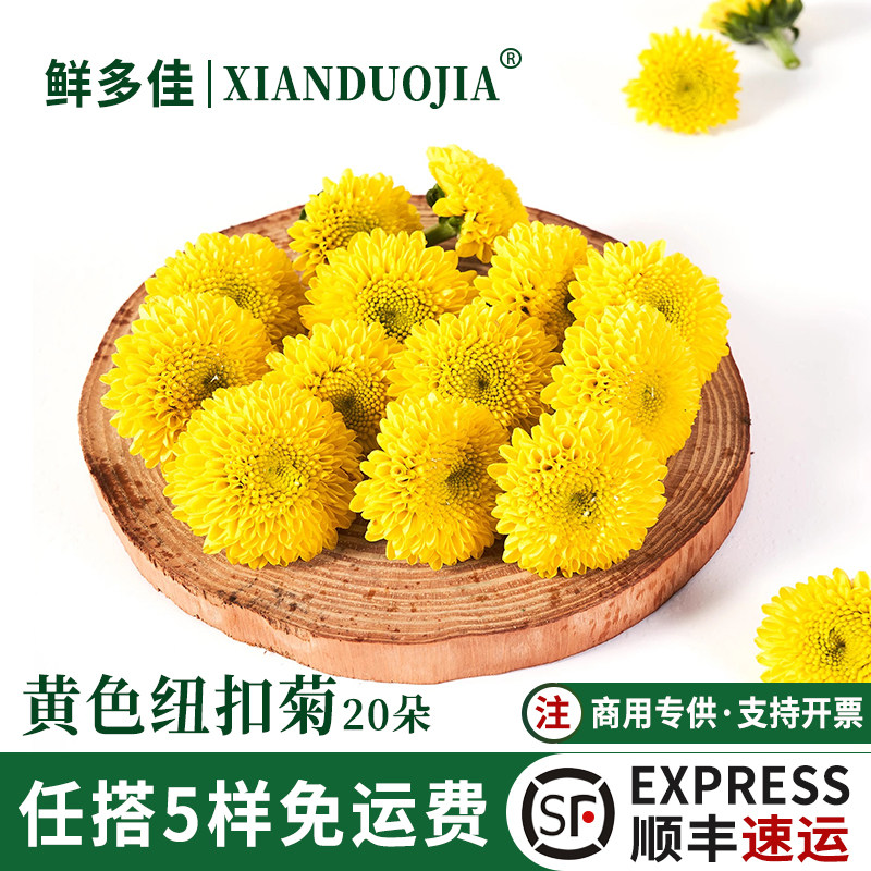 黄色纽扣彩菊新鲜纽扣菊装饰鲜花