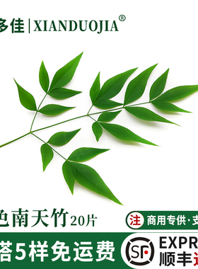 绿色南天竹新鲜绿南天竹叶酒店西餐日料摆盘装饰花草点缀不可食用