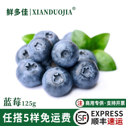 蓝莓新鲜水果当季现摘蓝莓1盒