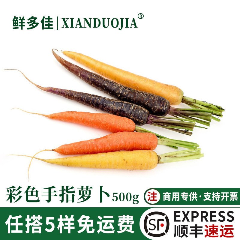 彩色小萝卜新鲜手指萝卜紫色黄色三色七彩迷你胡萝卜酒店西餐食材