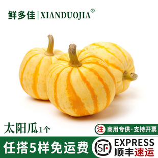 新鲜金桔南瓜黄金小南瓜食用小金瓜迷你板栗味可雕刻金贝贝太阳瓜