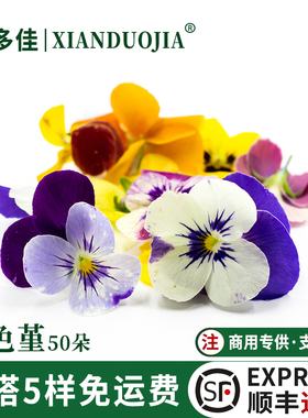 三色堇食用花烘焙蛋糕装饰点缀鲜花日料刺身西餐摆盘花草新鲜花卉