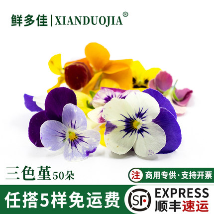 三色堇食用花烘焙蛋糕装饰点缀鲜花日料刺身西餐摆盘花草新鲜花卉