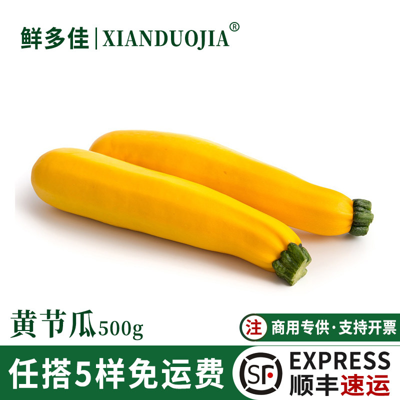 黄节瓜新鲜西葫芦夏南瓜茄瓜沙拉煎蛋饼西餐食用烘焙结瓜毛瓜500g
