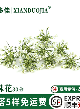雪珠花新鲜蕾丝花烘焙蛋糕酒店日料刺身西餐摆盘装饰花草饮品鲜花