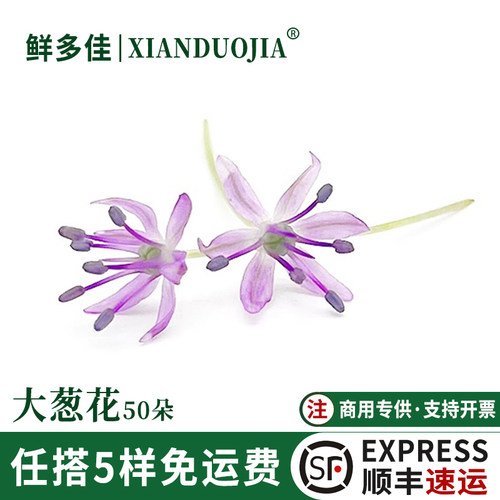 大葱花新鲜洋葱花可食用花摆盘