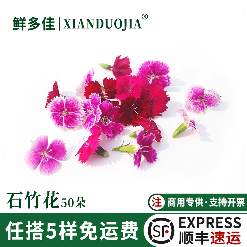 石竹花新鲜中国石竹梅装饰鲜花