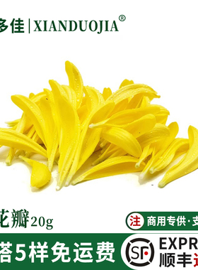 菊花瓣新鲜黄色菊花瓣鲜花瓣日料刺身装饰酸菜鱼西餐摆盘蛋糕花草