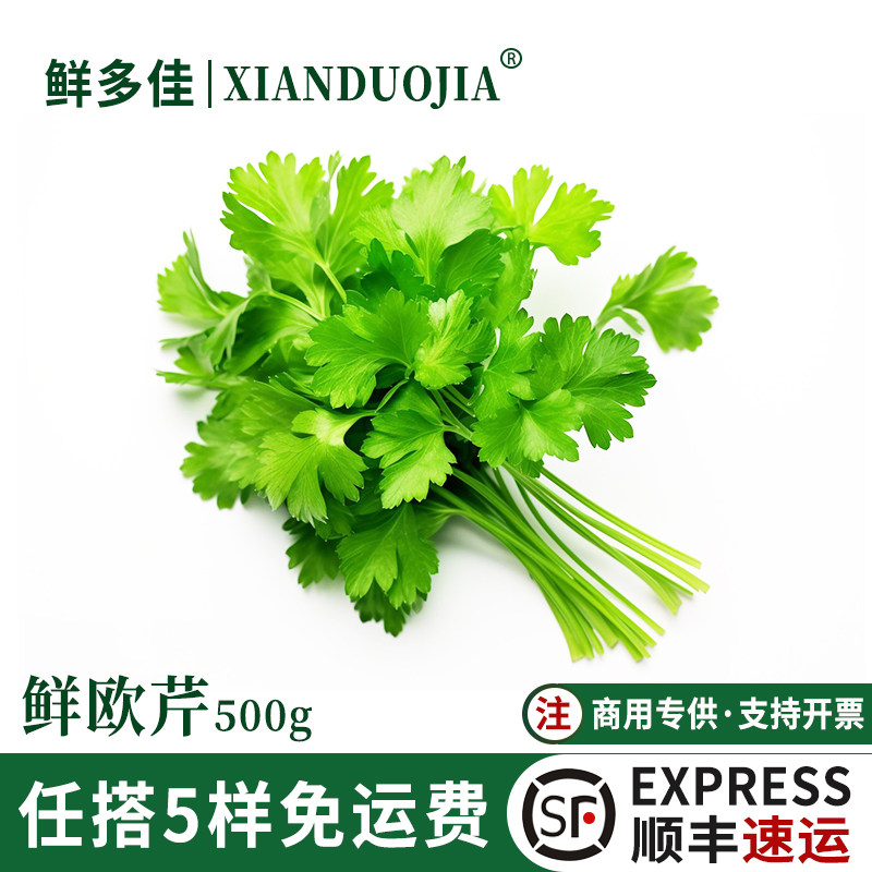 鲜欧芹新鲜意大利芹香芹法国香菜巴西里香料酒店西餐香料调料调味