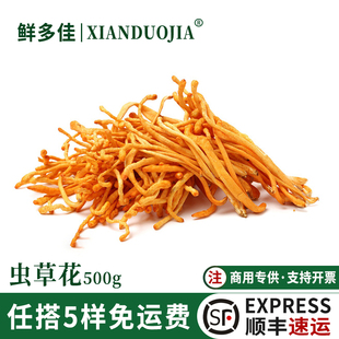 虫草花新鲜货北虫草 湿草菇孢子头菌菇煲汤火锅食材非干货500g/包