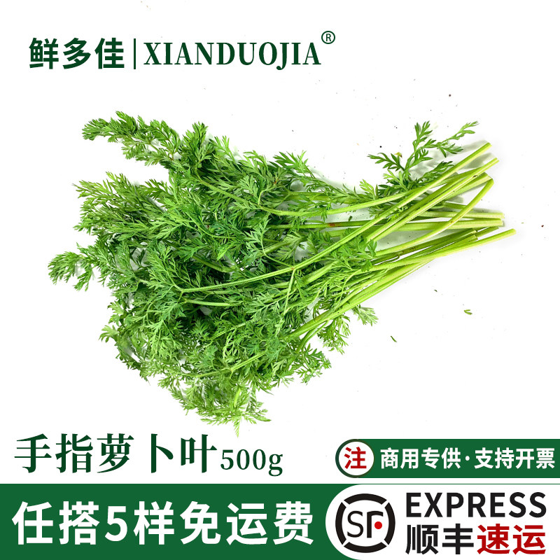 新鲜手指萝卜叶子500g摆盘装饰