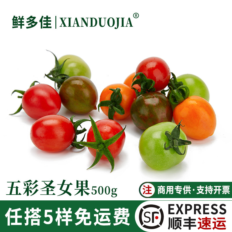 五彩圣女果新鲜彩色小番茄装饰