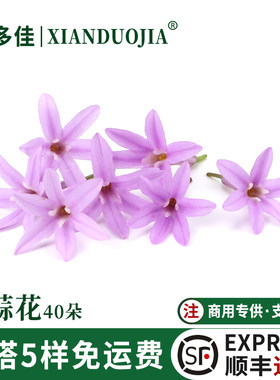 山蒜花新鲜星光璀璨花繁星花装饰