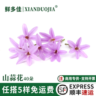 山蒜花新鲜星光璀璨花繁星花食用花日料刺身西餐摆盘装饰花草鲜花