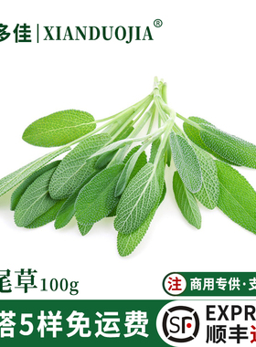 鼠尾草新鲜南丹参 西子sage salvia 酒店西餐新鲜食用香料调味料