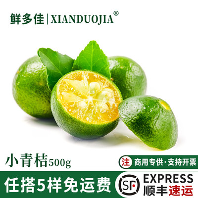小青桔金桔新鲜青柠檬青柑水果