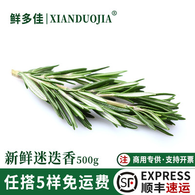 新鲜迷迭香煎牛排用食用香料装饰