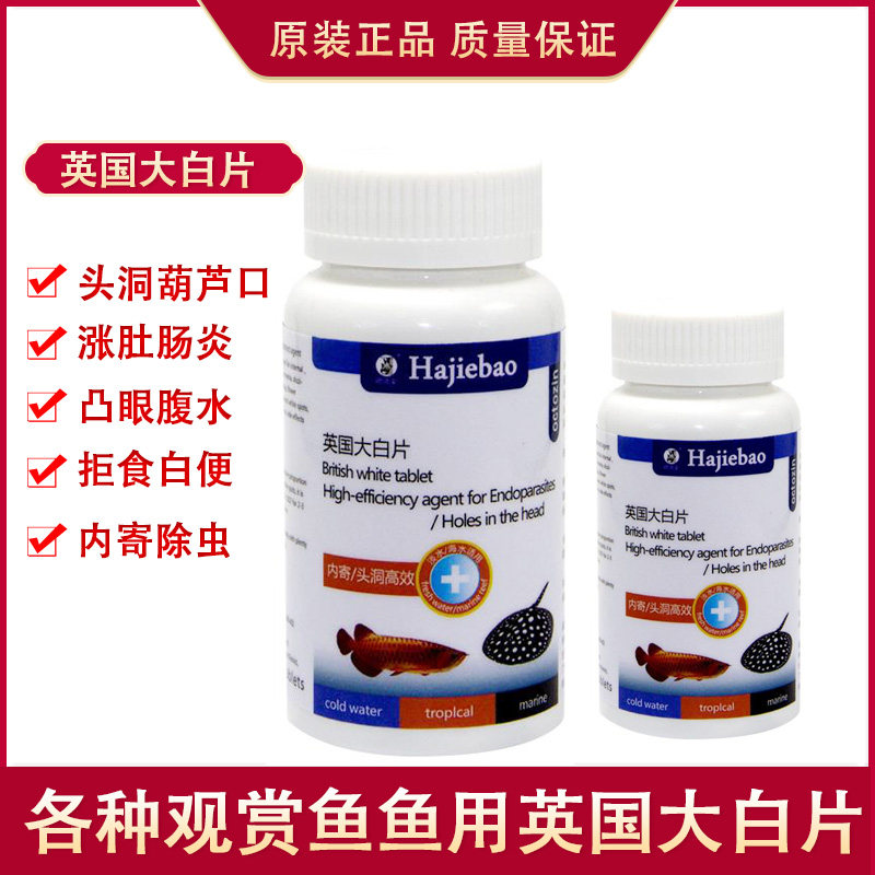 鱼药正品英国大白片内寄鱼用头洞病肠炎龙鱼罗汉水族观赏养鱼用品