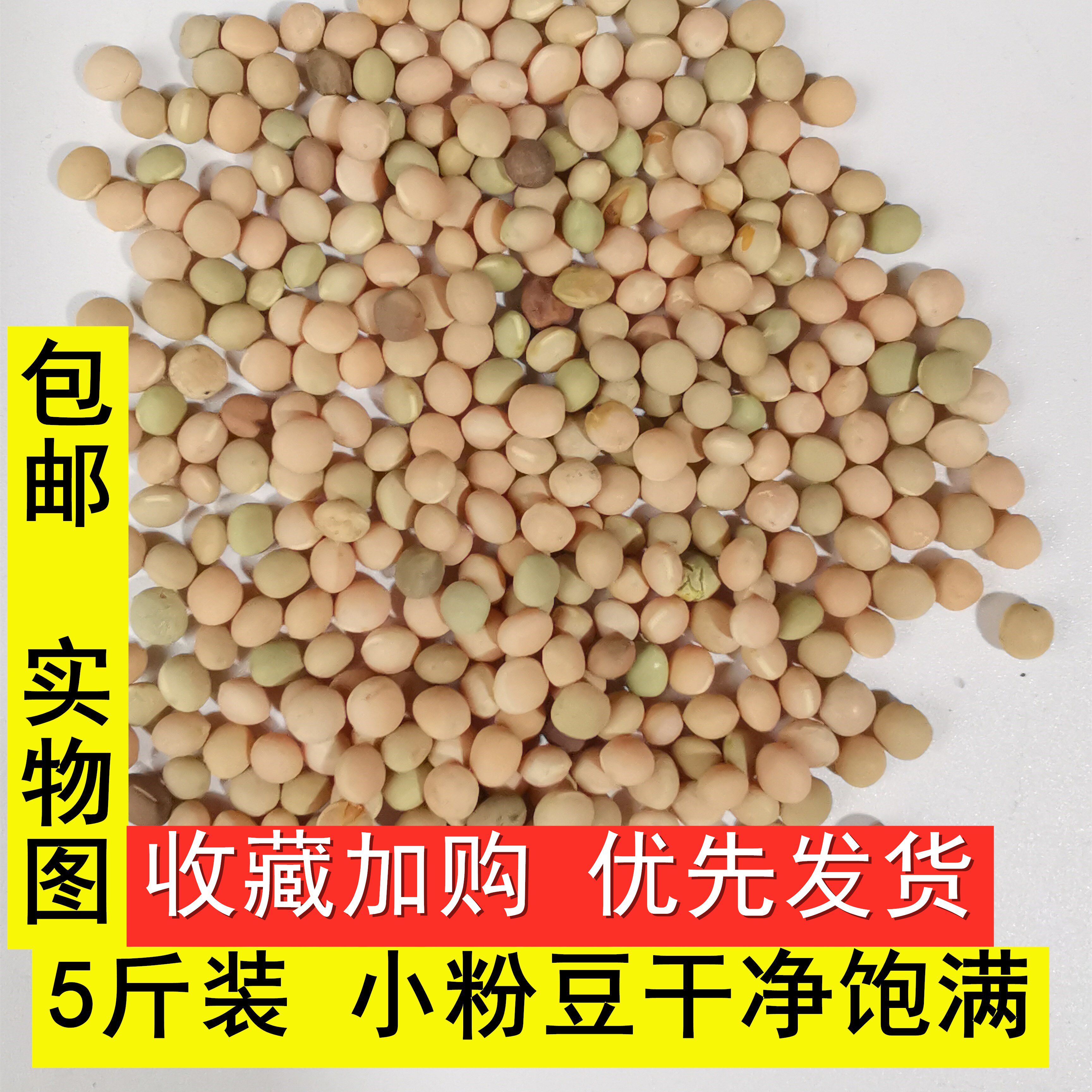 鸽粮斑鸟食小粉豆营养5斤幼豌豆