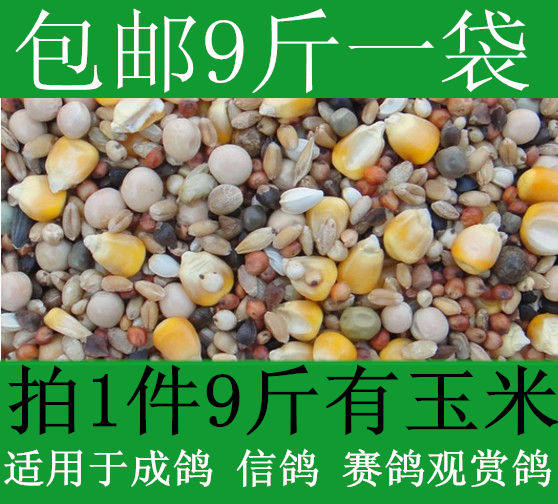 有玉米营养鸽粮鸽子粮赛鸽信鸽观赏鸽肉鸽 9斤装幼鸽饲料鸟粮斑鸠