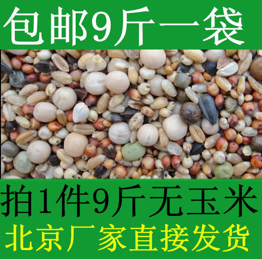 保健砂保健砂美顿宝信鸽