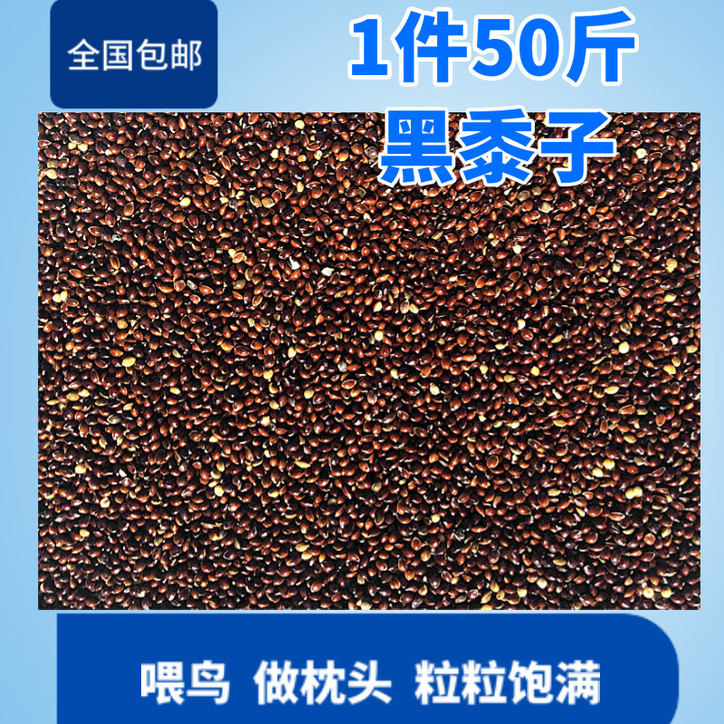 黍子糜子美顿宝鸟食饲料