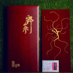 国家二等野山参礼盒干参长白山人参礼盒林下参泡酒煲汤双11主会场