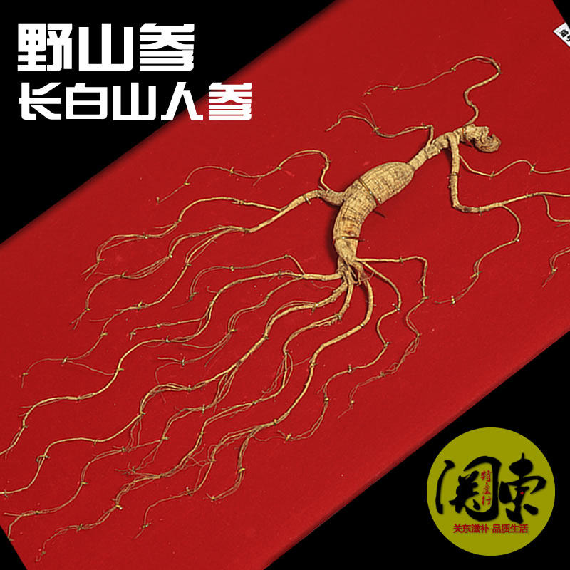 长白山人参礼盒东北野山参林下参移山参礼盒包装泡酒煲汤送礼包邮