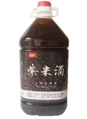 5l8度大理云南特产梅子酒
