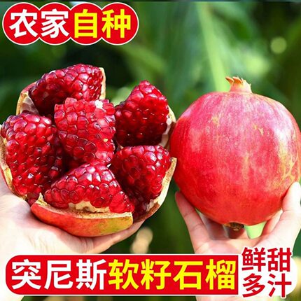 四川会理突尼斯软肉石榴香甜多汁肉厚新鲜自然熟老树果整箱包邮