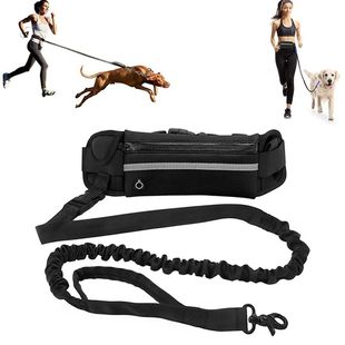 Leash Free Reflective Hands Walking for Dog Running