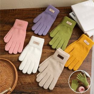 Gloves Warm Women Korean Screen Fashion Touch Winter