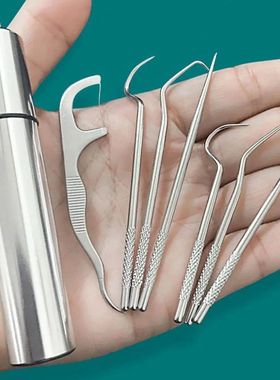 1set-Stainless Steel Toothpick Set Tooth Flossing Reusable T
