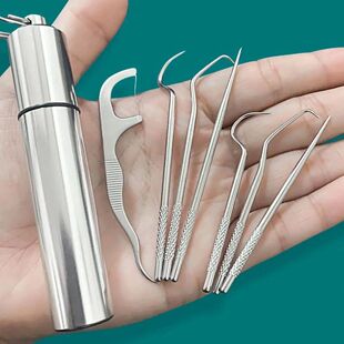 1set-Stainless Steel Toothpick Set Tooth Flossing Reusable T