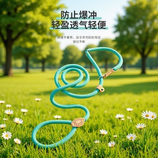 Explosion-proof hook, anti-slip P-link, dog leash