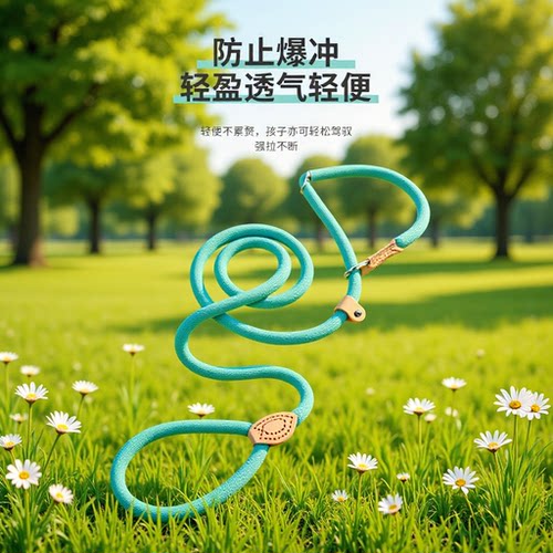 Explosion-proof hook, anti-slip P-link, dog leash