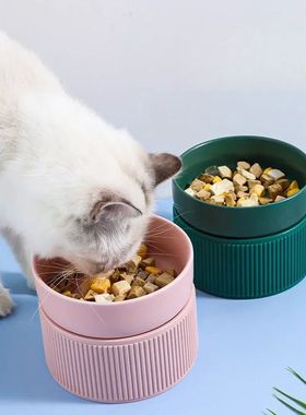 Ceramic Cat Dog Bowl Pet Puppy Feeder Drinker Elevated Raise