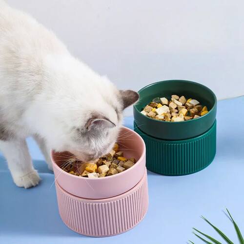 Ceramic Cat Dog Bowl Pet Puppy Feeder Drinker Elevated Raise