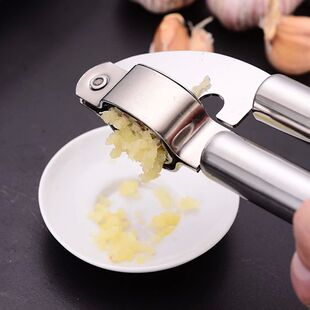 Stainless Steel Garlic Masher Manual Garlic Press Home Kitch