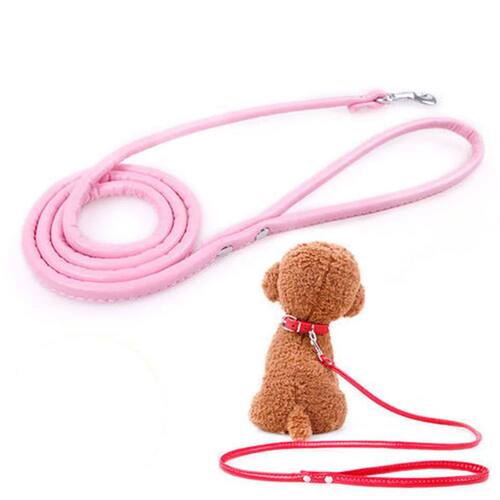 Pet Products Round Colorful PU Rolled Dog Walking Leashes fo