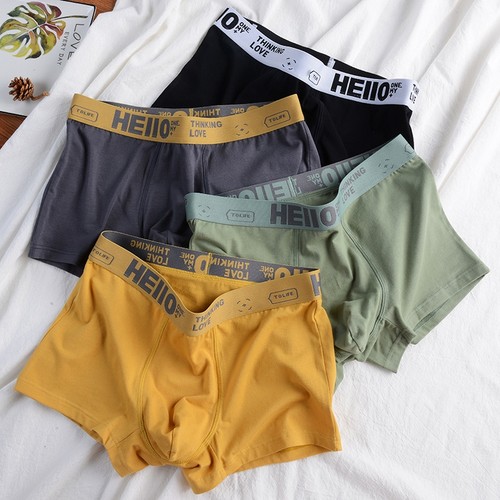 Men Panties Cotton BoxerShorts Man Underwear For Men Boxers