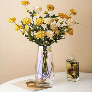 Transparent Aurora Illusion Glass Vase Flower Arrangement Va