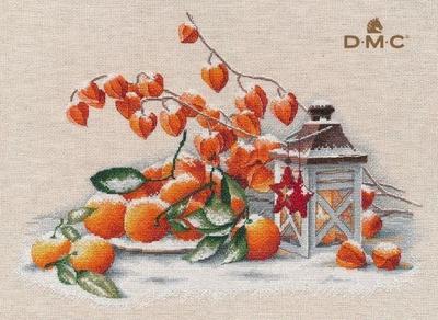 法国DMC十字绣配置QT3889圣诞前夕 马灯灯笼果静物装饰画14CT28CT