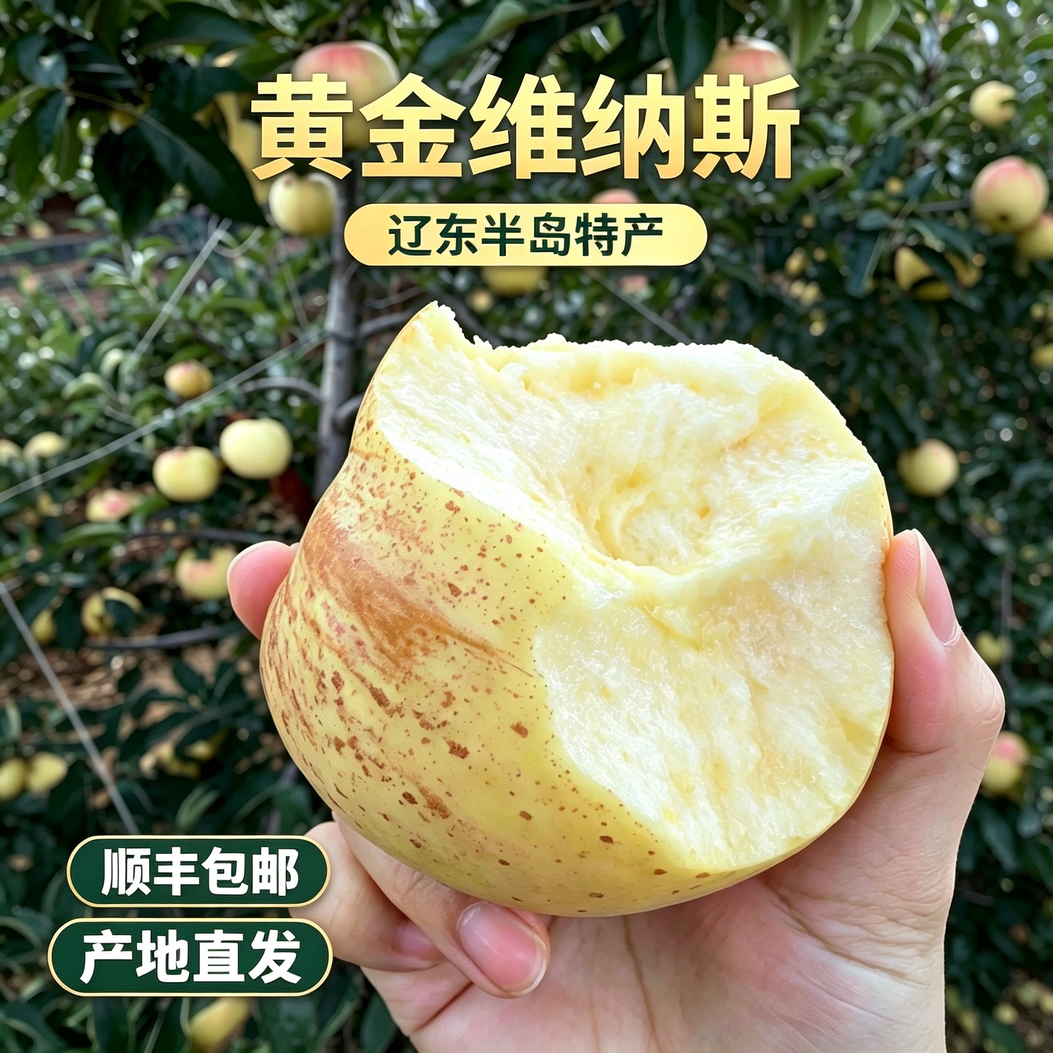 【千人加购】产地直发脆甜多汁