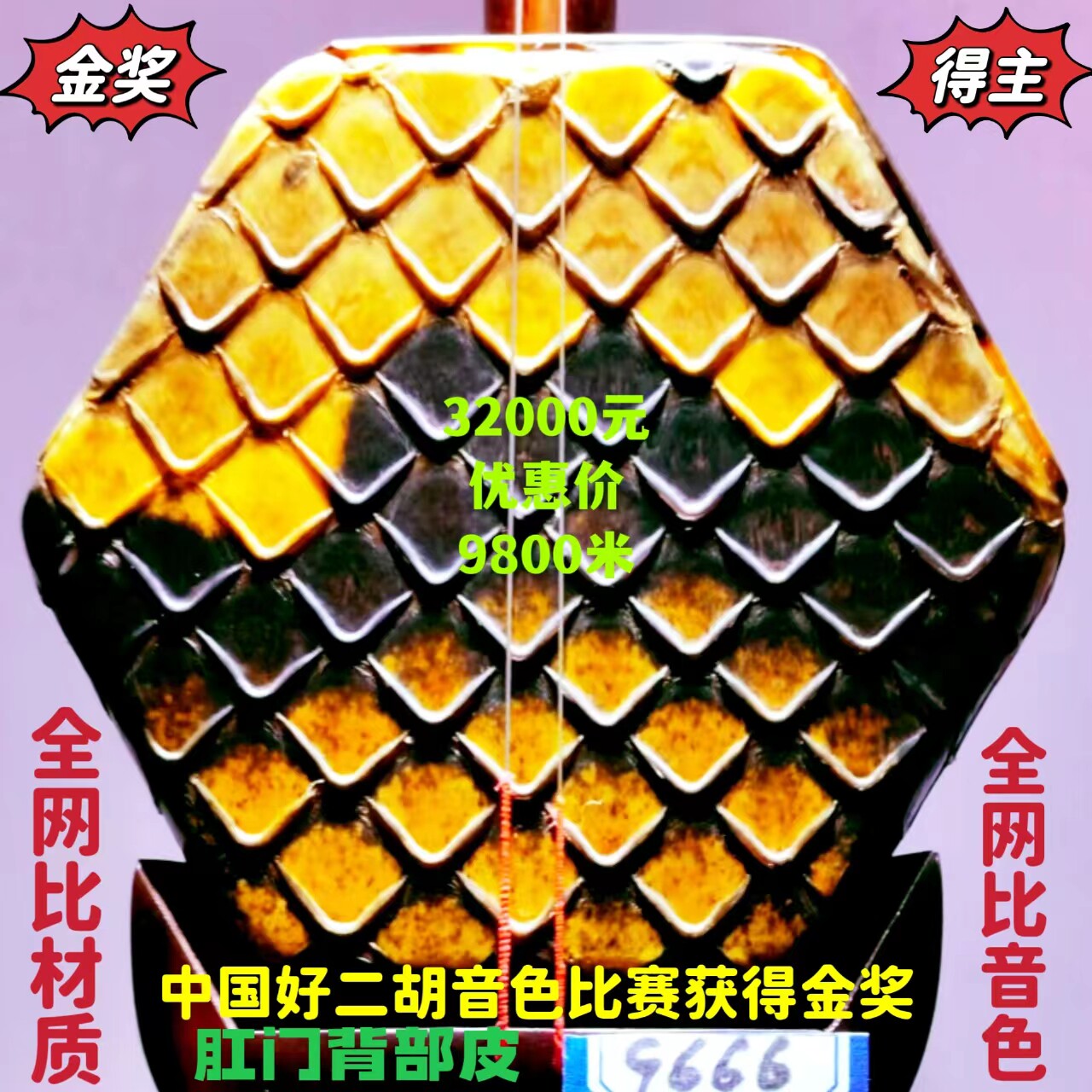 放大漏〔全国金奖〕韵声琴坊老料印度金星小叶紫檀二胡肛门背部皮