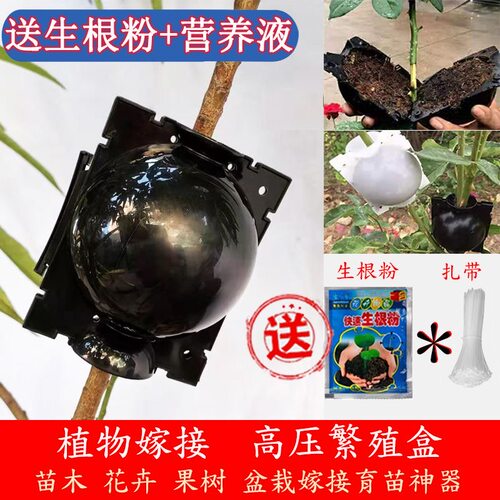 植物高压繁殖盒控根器扦插嫁接高压包生根盒枝繁殖球生根繁殖器